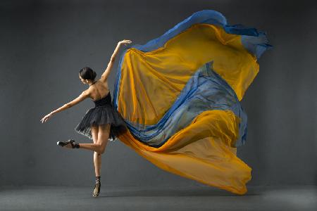 Blue yellow balerina