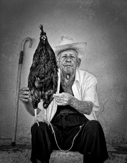 The old man with his figting cock
