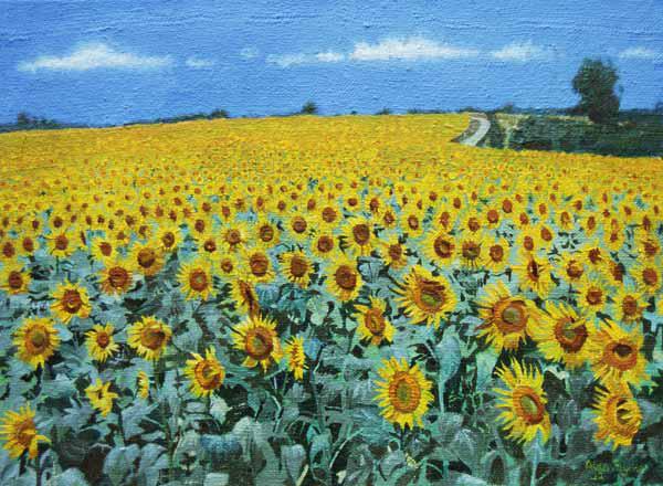 Field of Sunflowers, 2002 (oil on canvas) 