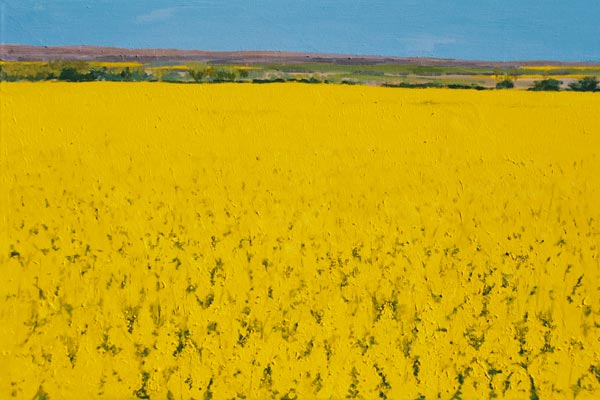 Rape Field, 2003 (oil on canvas)  à Alan  Byrne