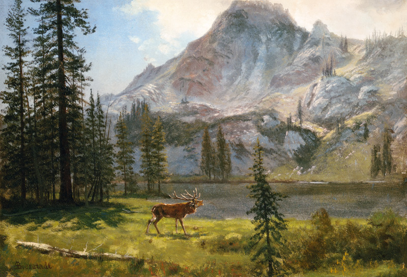 Call of the Wild à Albert Bierstadt