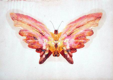 Butterfly à Albert Bierstadt