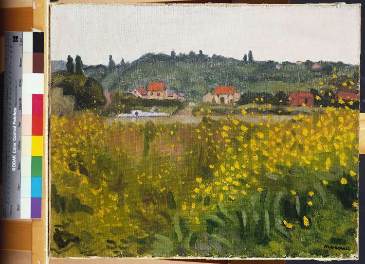 Gelbe Blumenwiese in Villenes (Les Fleurs Jaunes a Villenes) à Albert Marquet