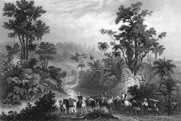 Jagd im Urwalde in Brasilien à Albert Henry Payne