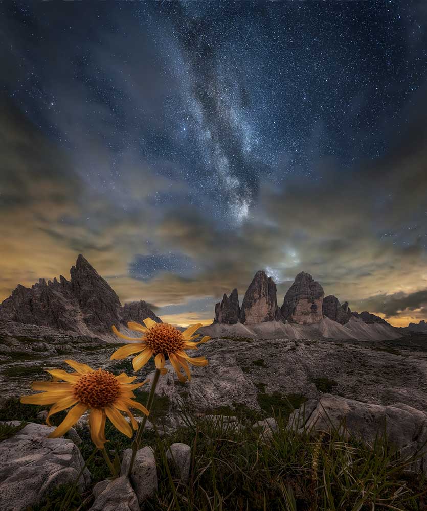 Even the flowers seem to be fascinated by the stars à Alberto Ghizzi Panizza