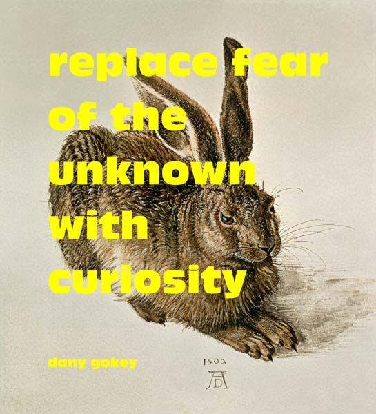 "Un jeune lièvre brun" avec des paroles de Dany Gokey à Albrecht Dürer