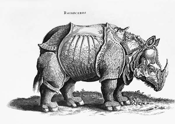 Rhinoceros, no.76 from ''Historia Animalium'' Conrad Gesner (1516-65) published in July 1815 à Albrecht Dürer