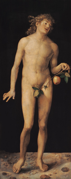 Adam à Albrecht Dürer