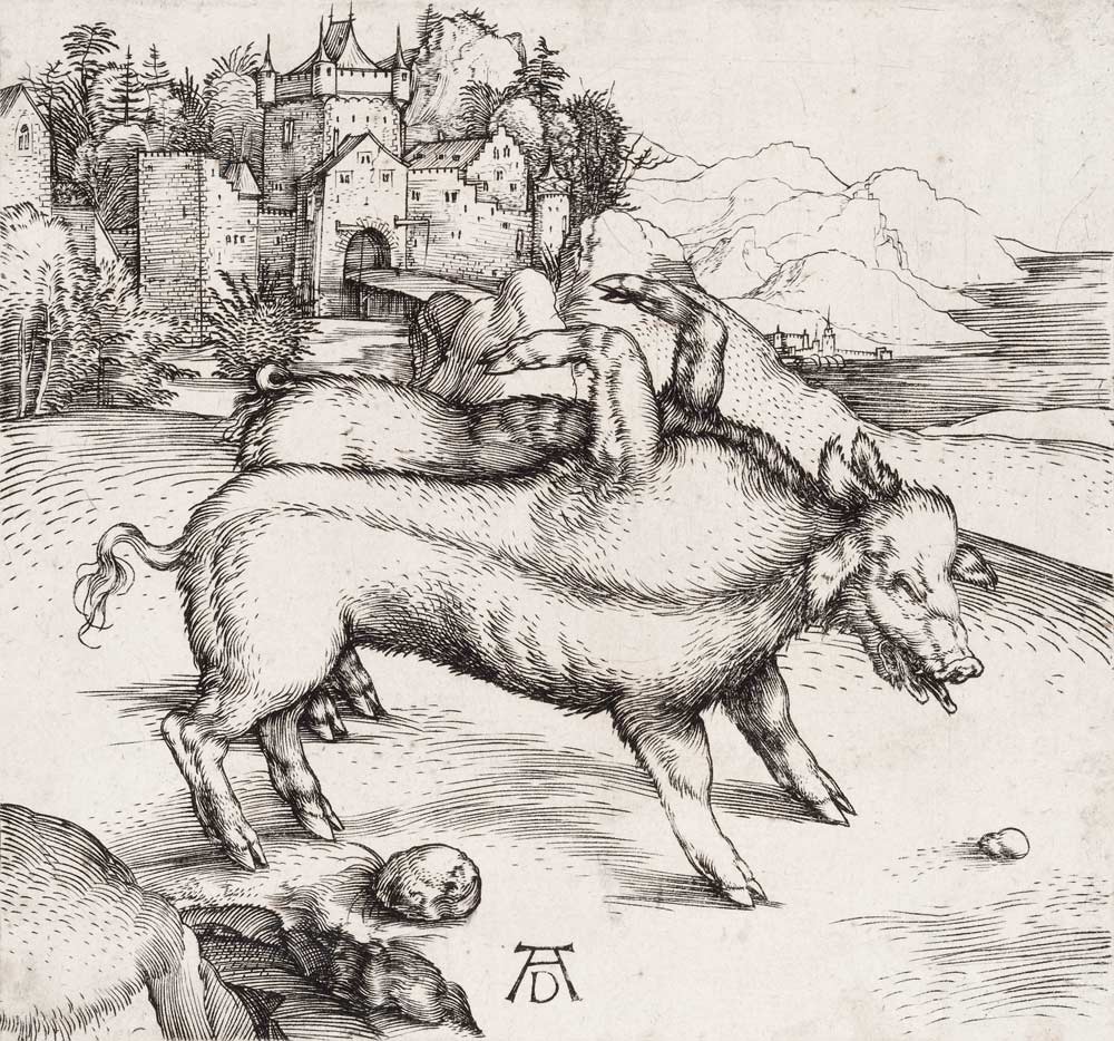 Die Missgeburt eines Schweins (Die wunderbare Sau von Landser) à Albrecht Dürer
