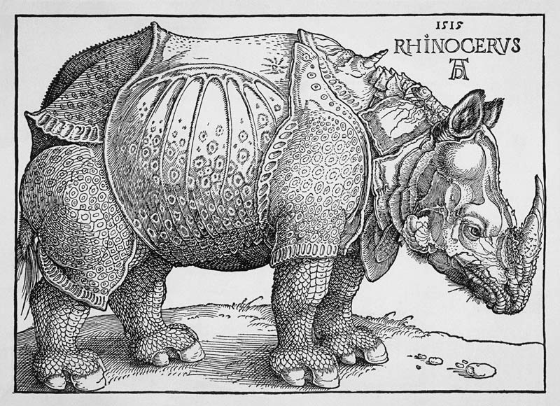 Nashorn - Variation ohne Text in Schwarzweiß à Albrecht Dürer