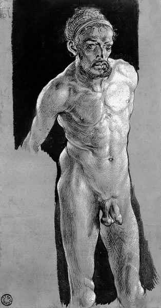 Albrecht Dürer / Nude Self-Portrait /C16 à Albrecht Dürer