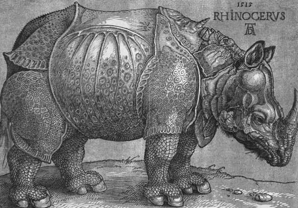 Le Rhinocéros à Albrecht Dürer