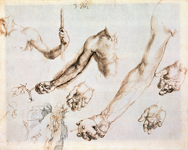 Study of male hands and arms (pen) à Albrecht Dürer