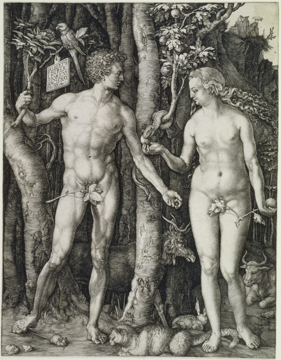 Adam and Eve (The Fall of Man) à Albrecht Dürer
