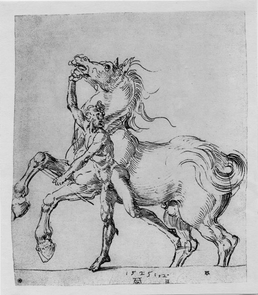 A.Dürer, Nude Man with Horse / 1525 à Albrecht Dürer