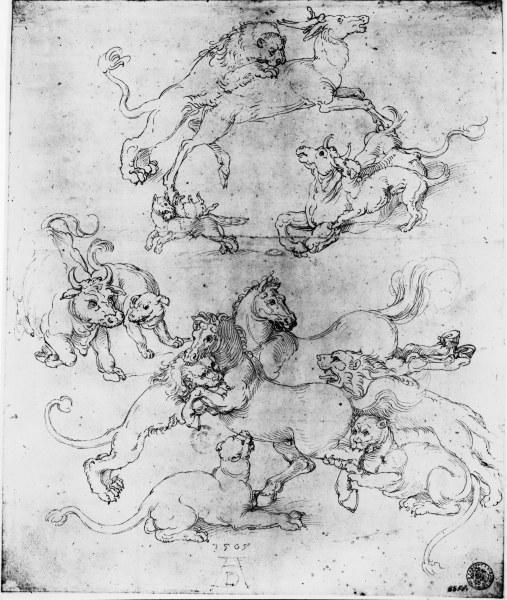 A.Dürer, Study of Attacked Animals/1505 à Albrecht Dürer