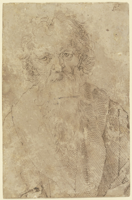 Bearded old man à Albrecht Dürer