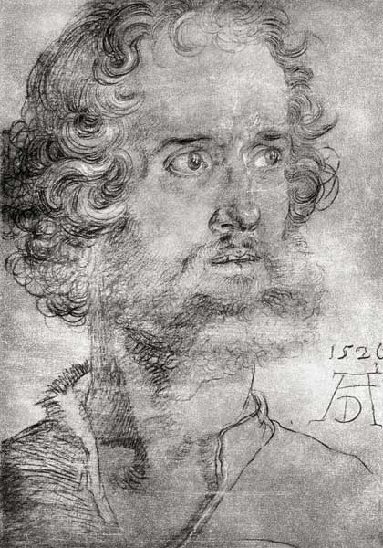 Head of Mark the Evangelist / Dürer à Albrecht Dürer