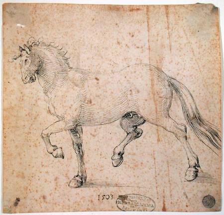 Horse à Albrecht Dürer