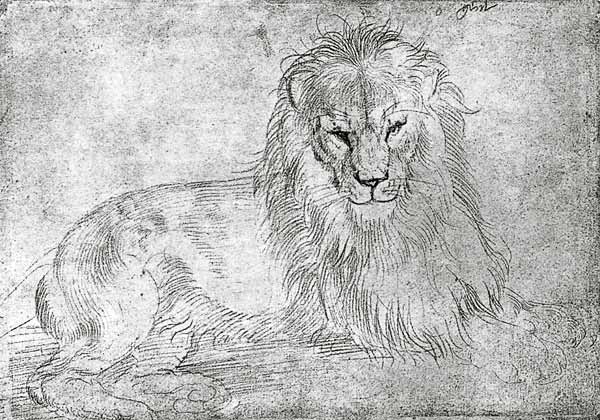 Lion couché à Albrecht Dürer
