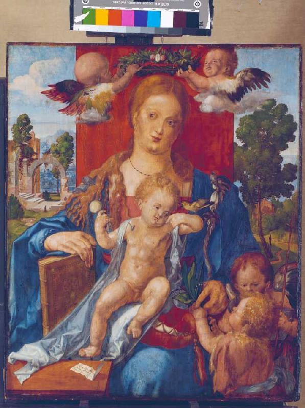 La Madonne avec le serin à Albrecht Dürer
