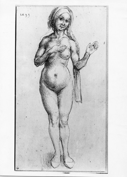 Naked Woman / Dürer / 1493 à Albrecht Dürer