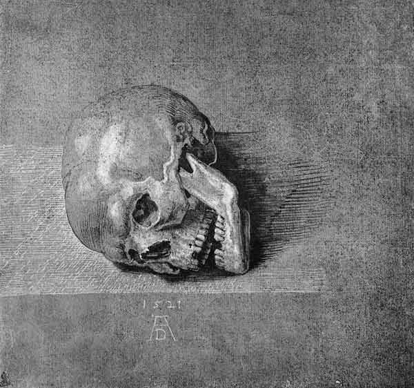 A.Dürer, Skull / Draw./ 1521 à Albrecht Dürer