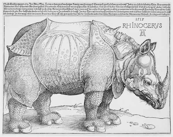The Rhinoceros à Albrecht Dürer