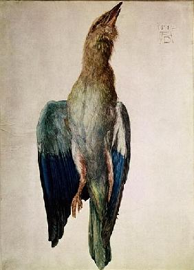 Blue Crow, 1512 (w/c & gouache on vellum)