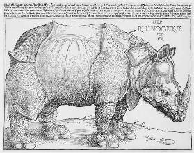 The Rhinoceros