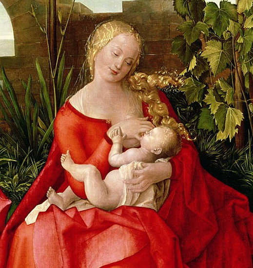 Virgin and Child ''Madonna with the Iris'', 1508 (detail of 22578) à Albrecht Dürer