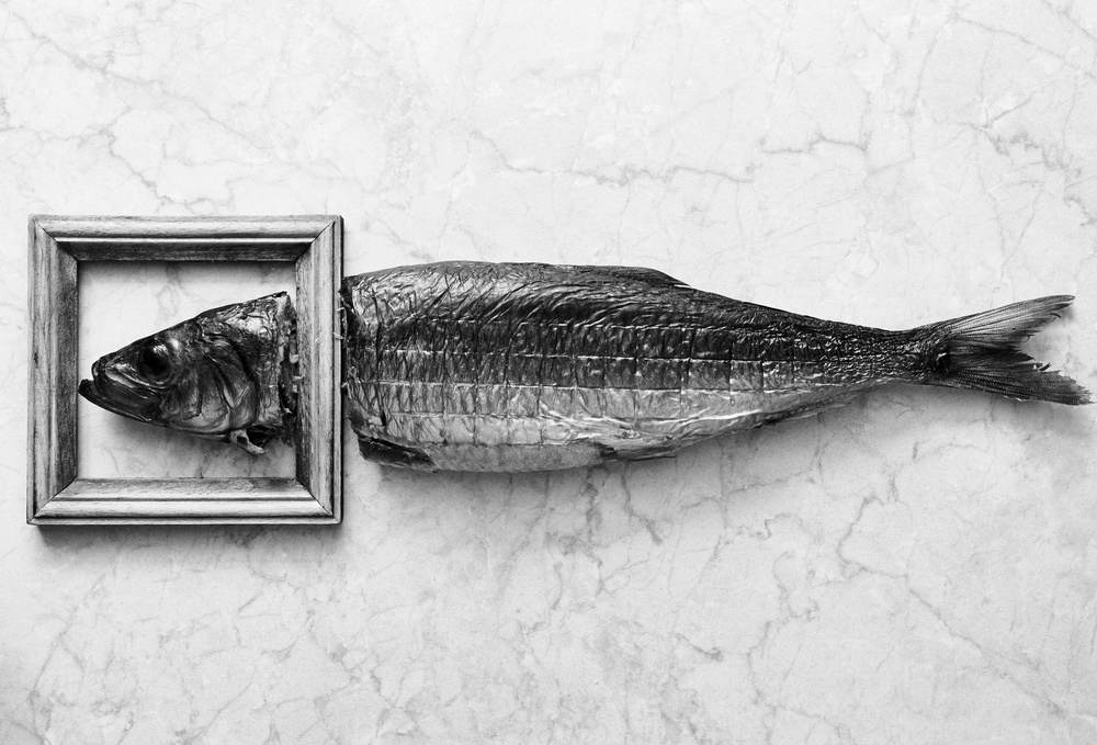 Fish portrait à Aleksandrova Karina