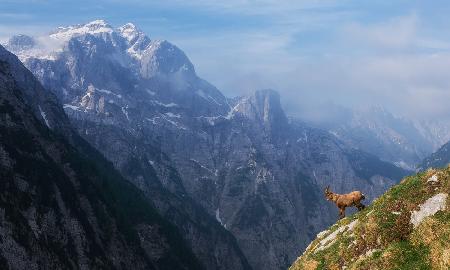 High in the mountains