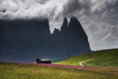 Alpe di Siusi