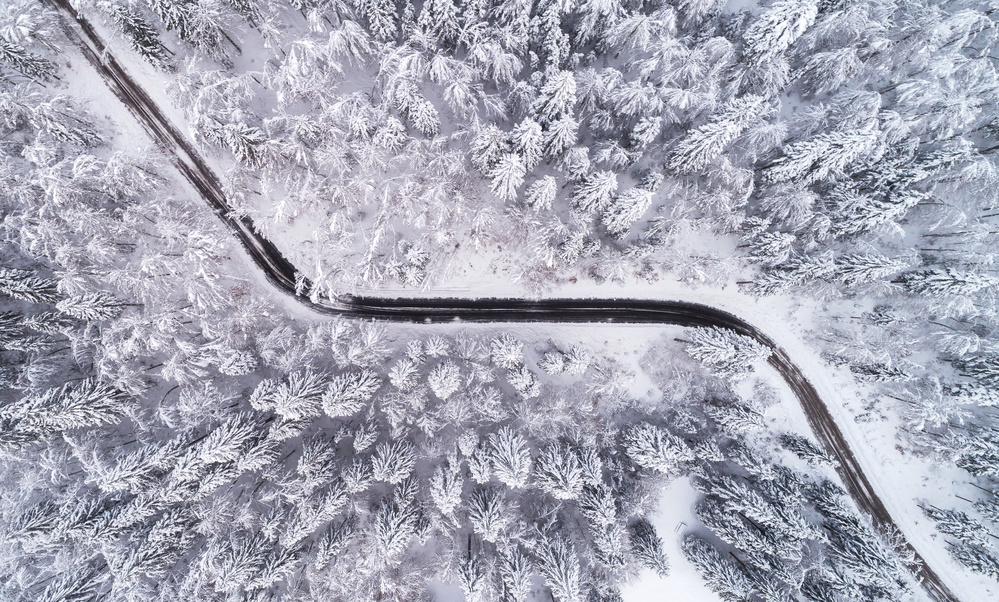 Road through the winter forest à Ales Krivec