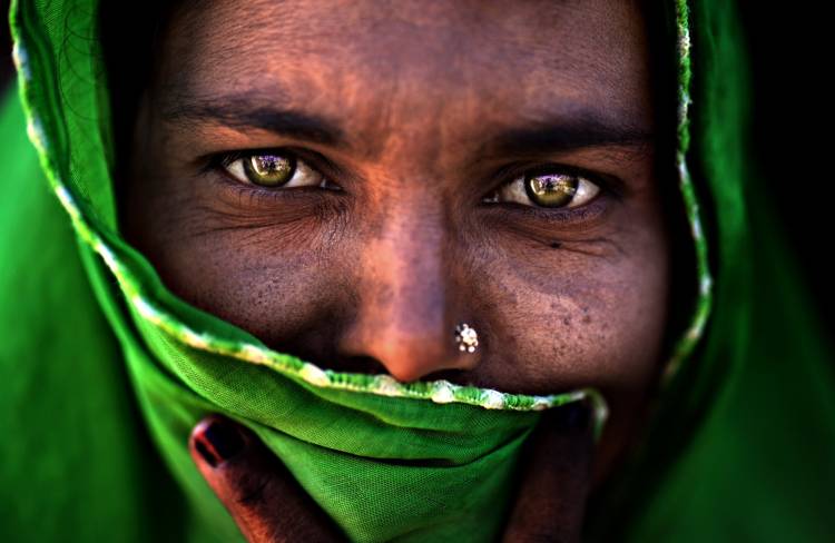 Untitled à Alessandro Bergamini