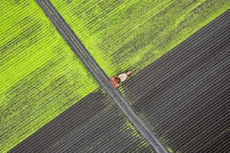 Alone in the field