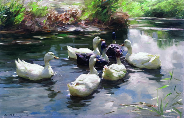 Ducks in a Pond à Alexander Koester