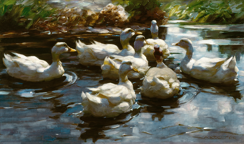 Ducks in the pond à Alexander Koester