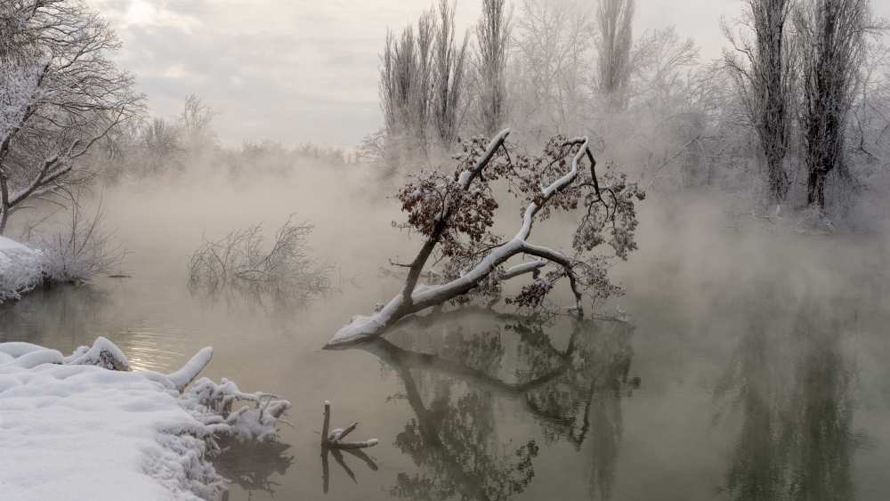 Fog over the water à Alexander Plekhanov
