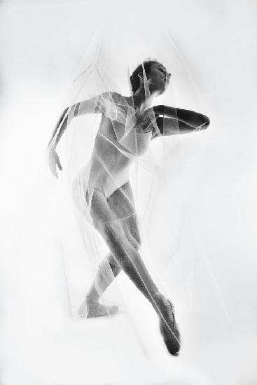 The Web of Senses. A ballerina in a bodysuit wrapped in a thin transparent fabric in a delicate pa