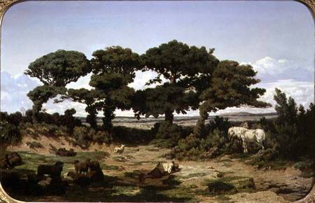 The Oaks of Kertregonnec à Alexandre Sege