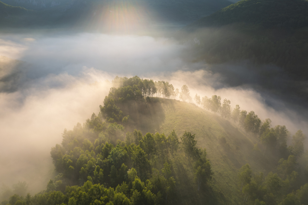Above the foggy forest à Alexandru Ionut Coman