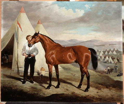 Sir Briggs, horse of Lord Tredegar (1831-1913) of the 17th Lancers, in Camp in Crimea 1854, 1856 (oi à Alfred de Prades