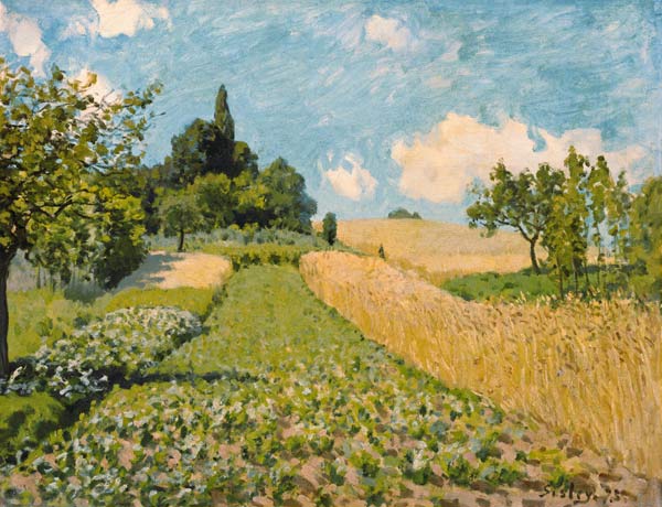 Paysage d'été avec des champs à Alfred Sisley