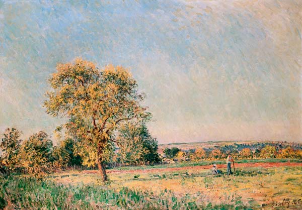 Paysage d'été avec le grand arbre. à Alfred Sisley