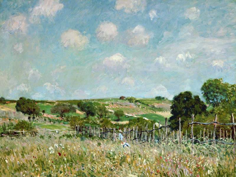 la prairie à Alfred Sisley