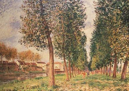 The Poplar Avenue at Moret, Cloudy Day, Morning à Alfred Sisley