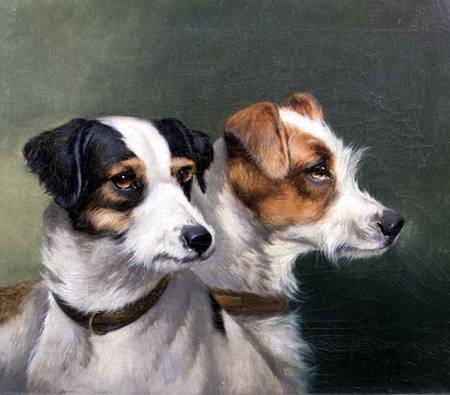 Two Fox Terriers à Alfred Wheeler