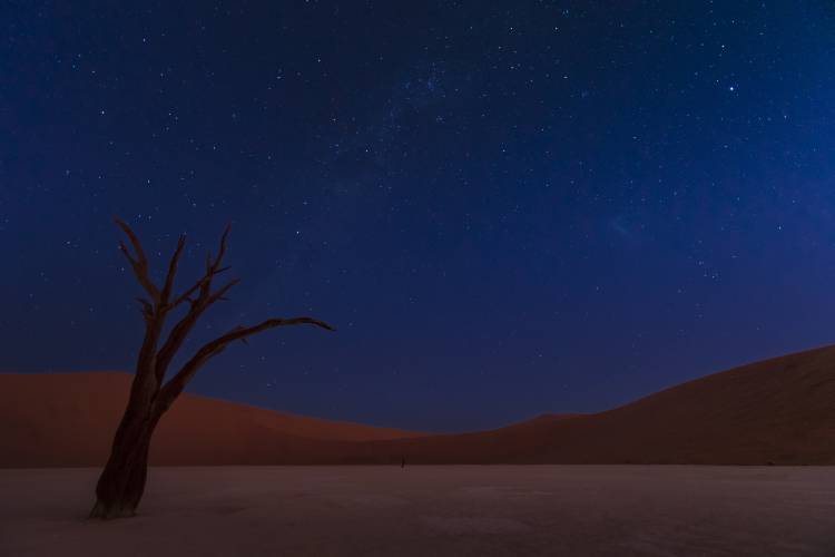 Stars and Dunes à Ali Khataw